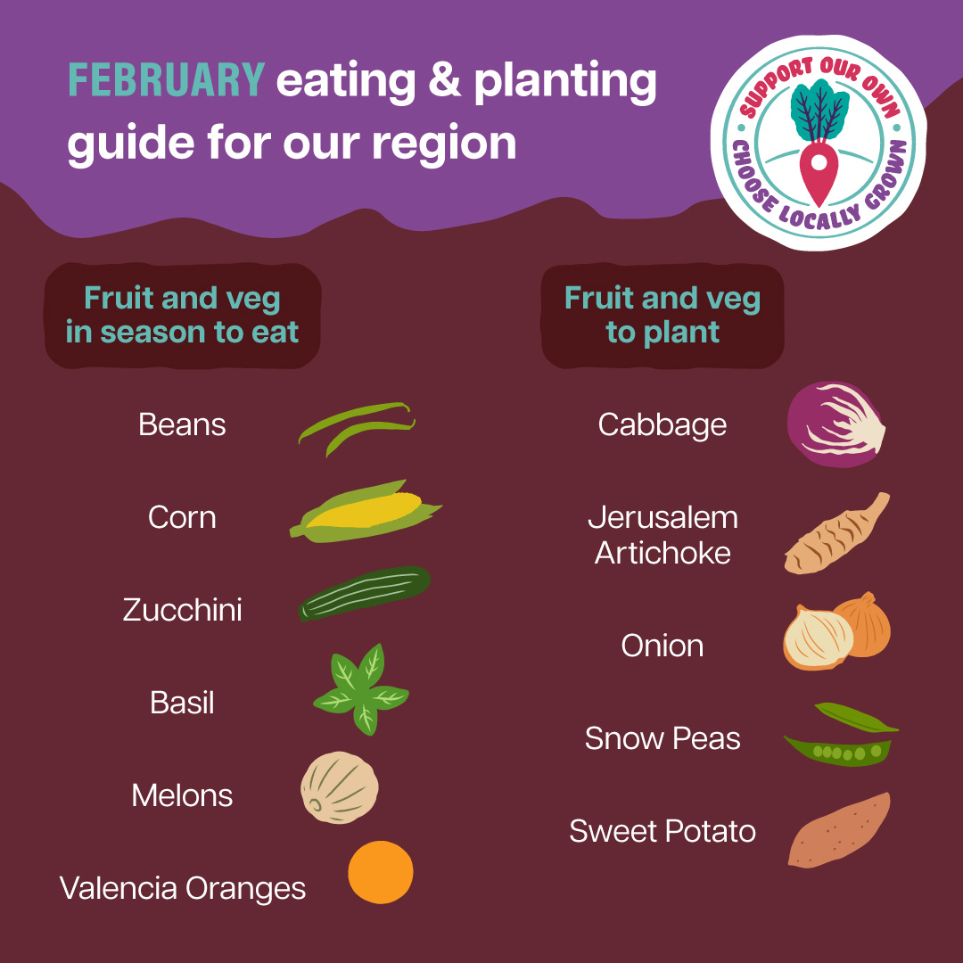 What's in season Feb