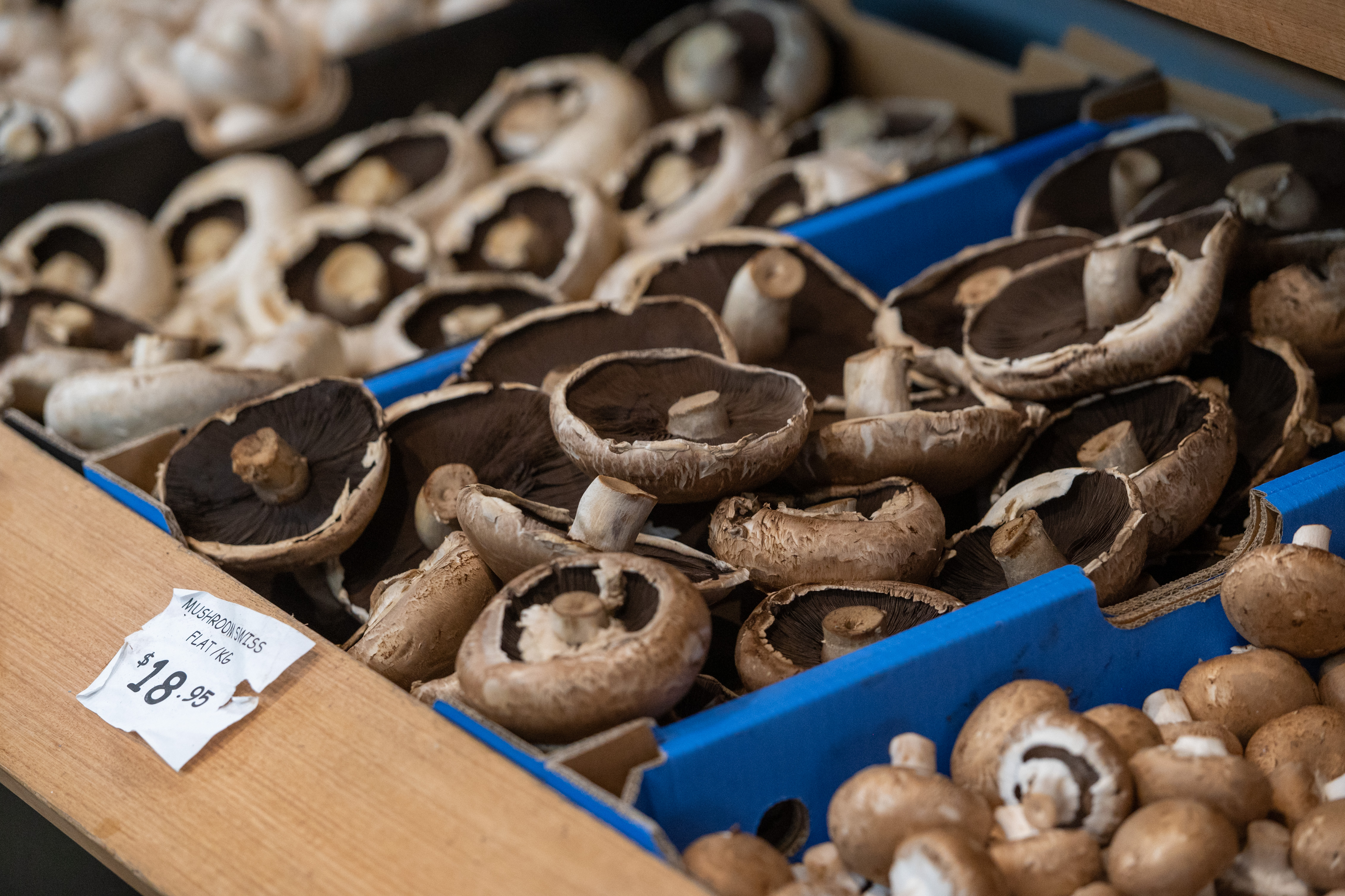 Watts Fresh Kyneton mushrooms