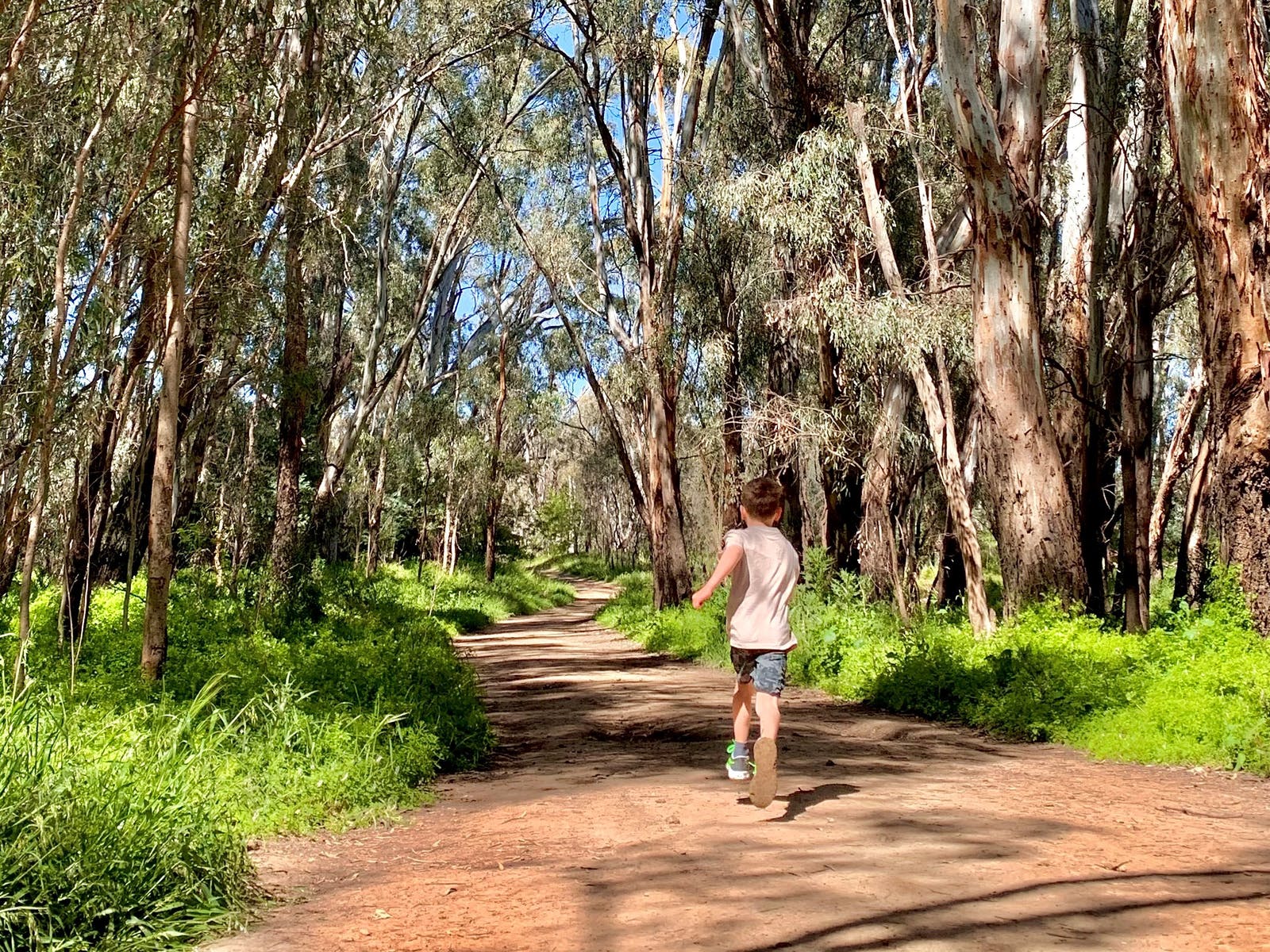 Banyule Forest Echuca