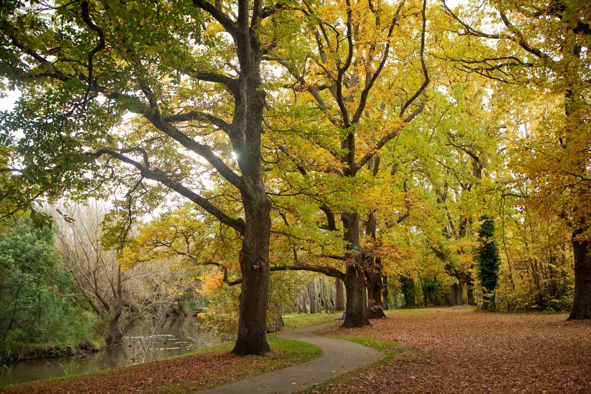 Kyneton River Walk