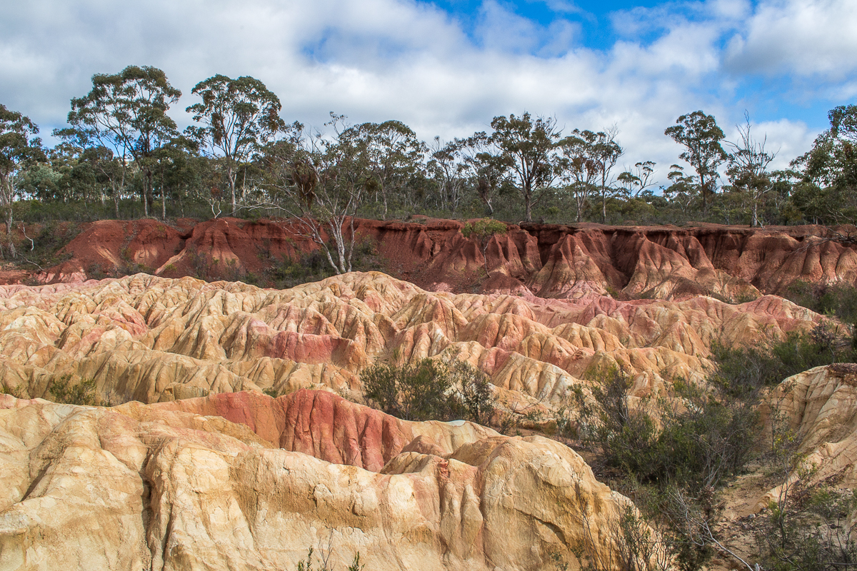 Pink cliffs Heathcote