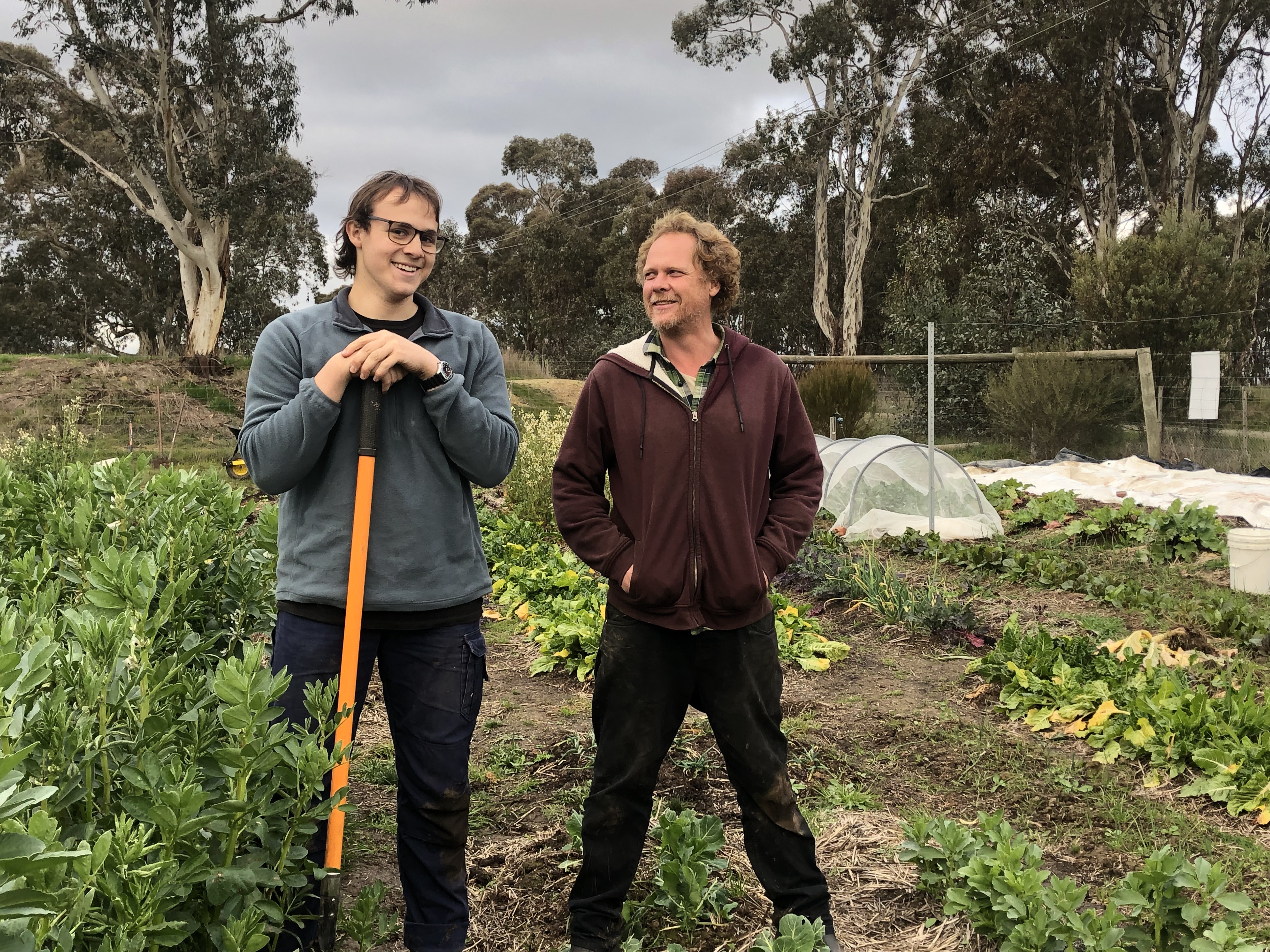 Golden Gum Farms