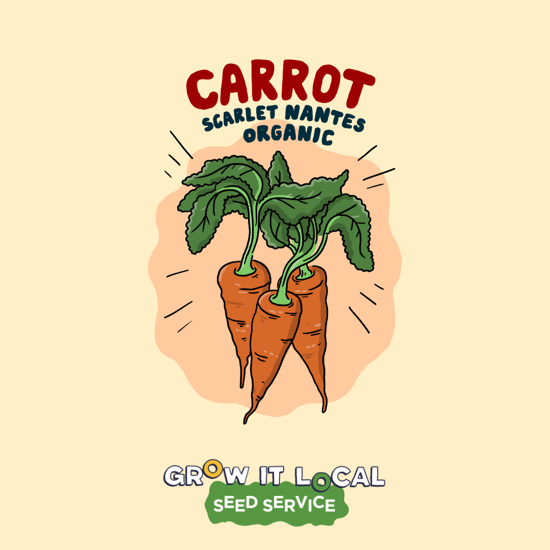 Carrot