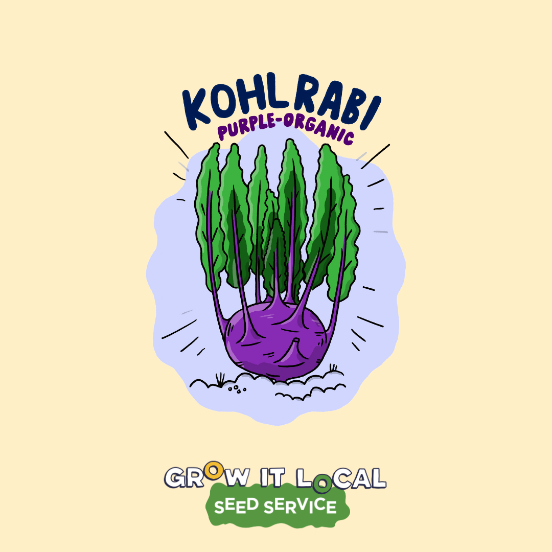 Kohlrabi