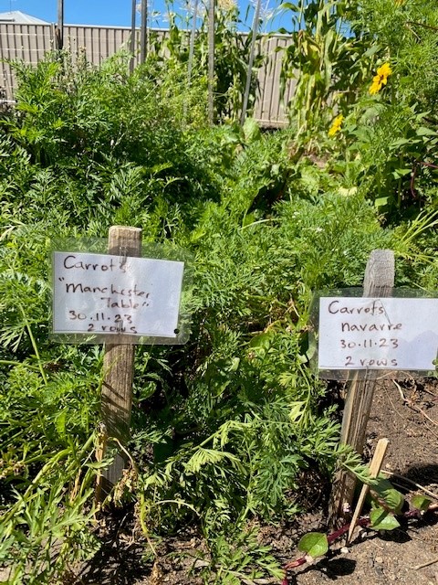 Echuca Twin Rivers Specialist School garden2