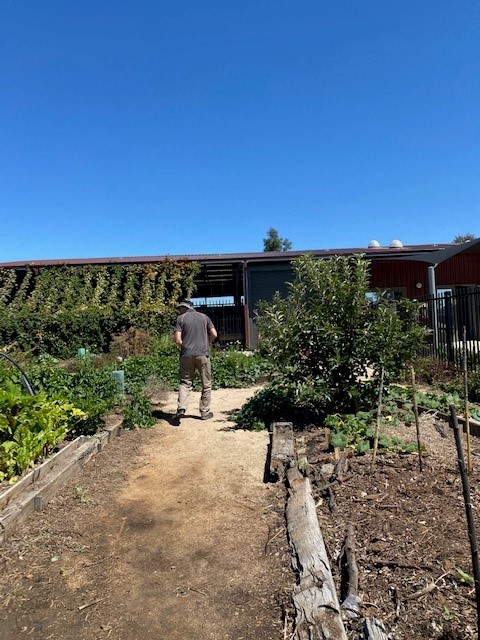 Echuca Twin Rivers Specialist School garden1