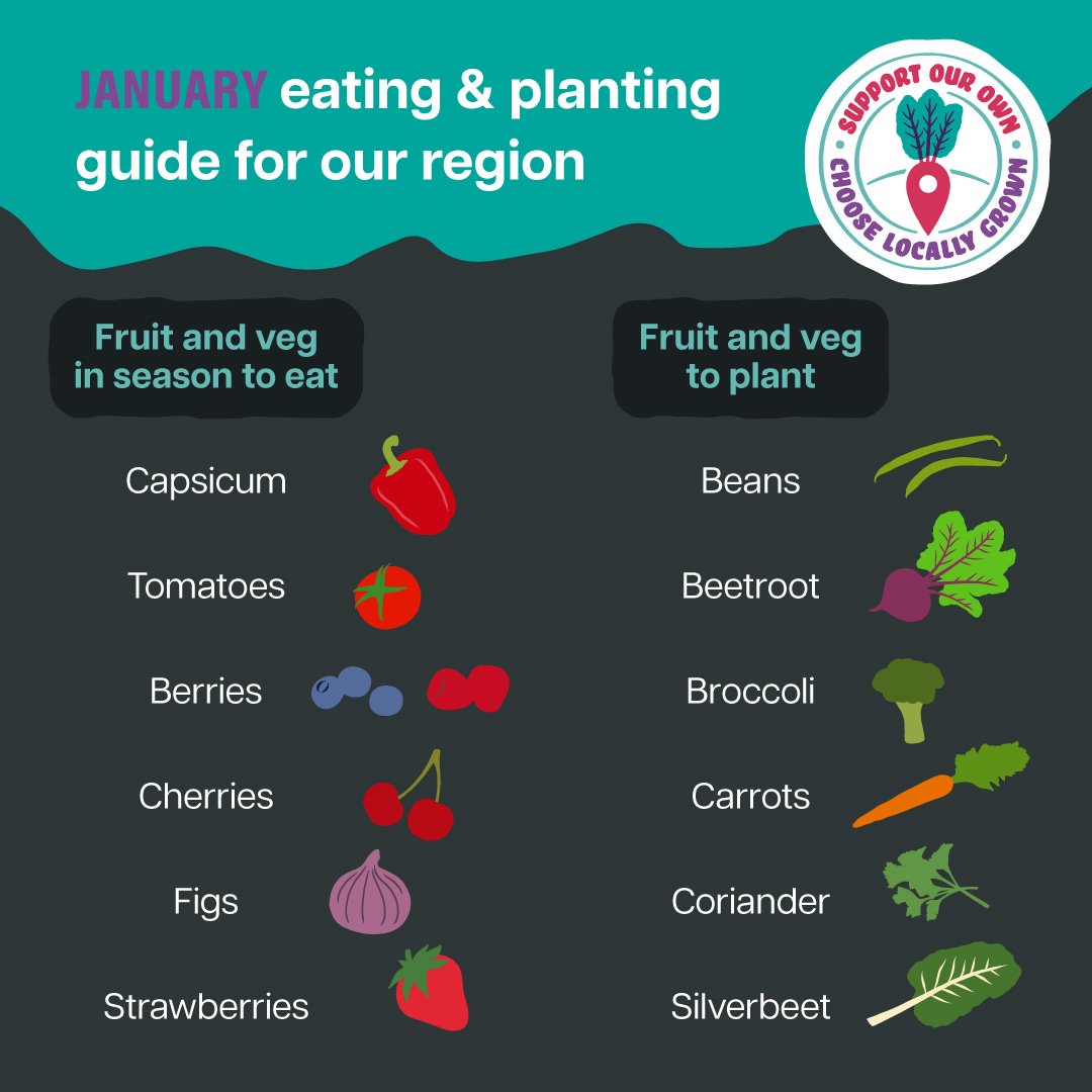 January eating and planting guide