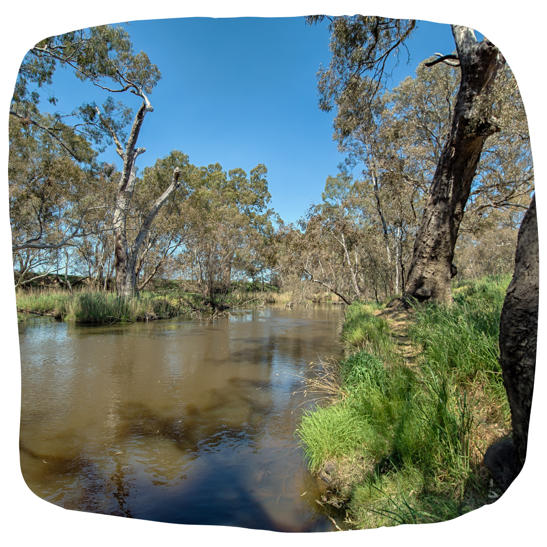 HLC expert article - freshwater activities.png