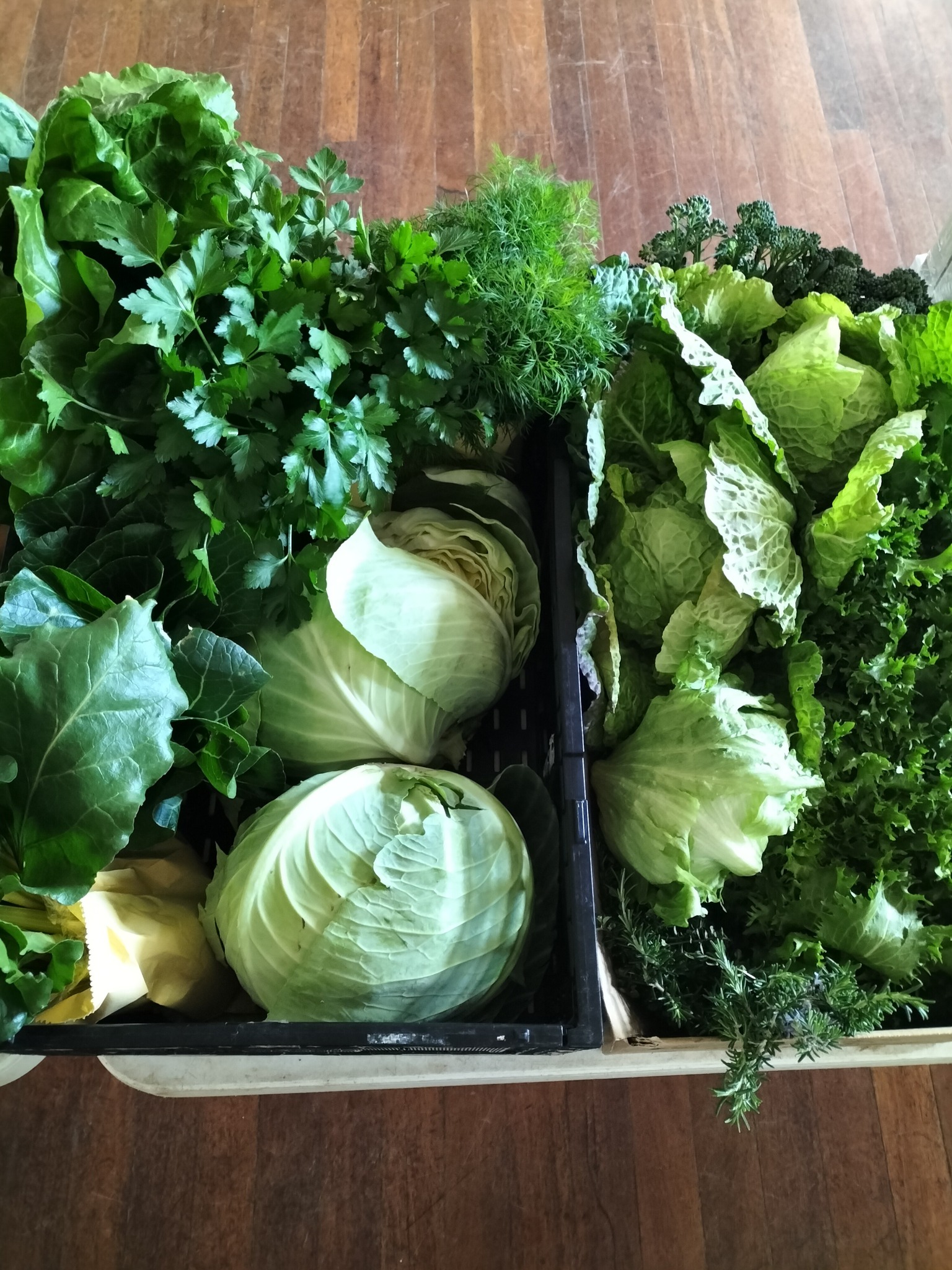 Axedale Community Garden2