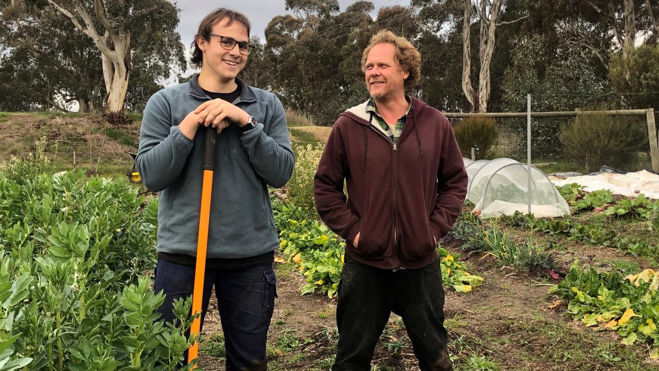 Golden Gum Farms