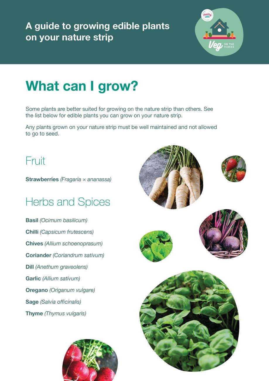 Veg on the Verge plant list p1