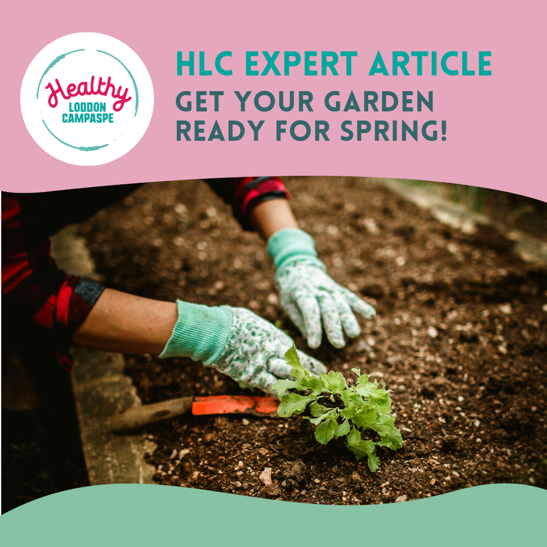August 2025 Expert Article