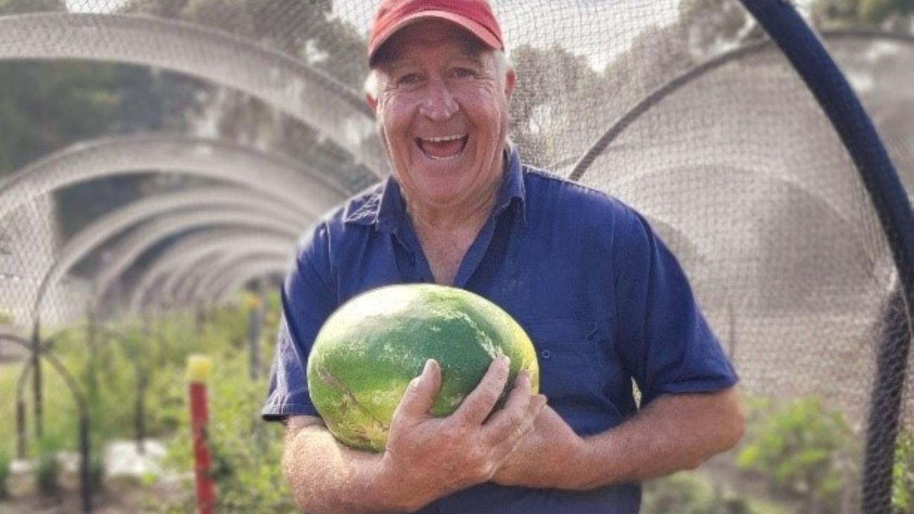 mountain view garlic