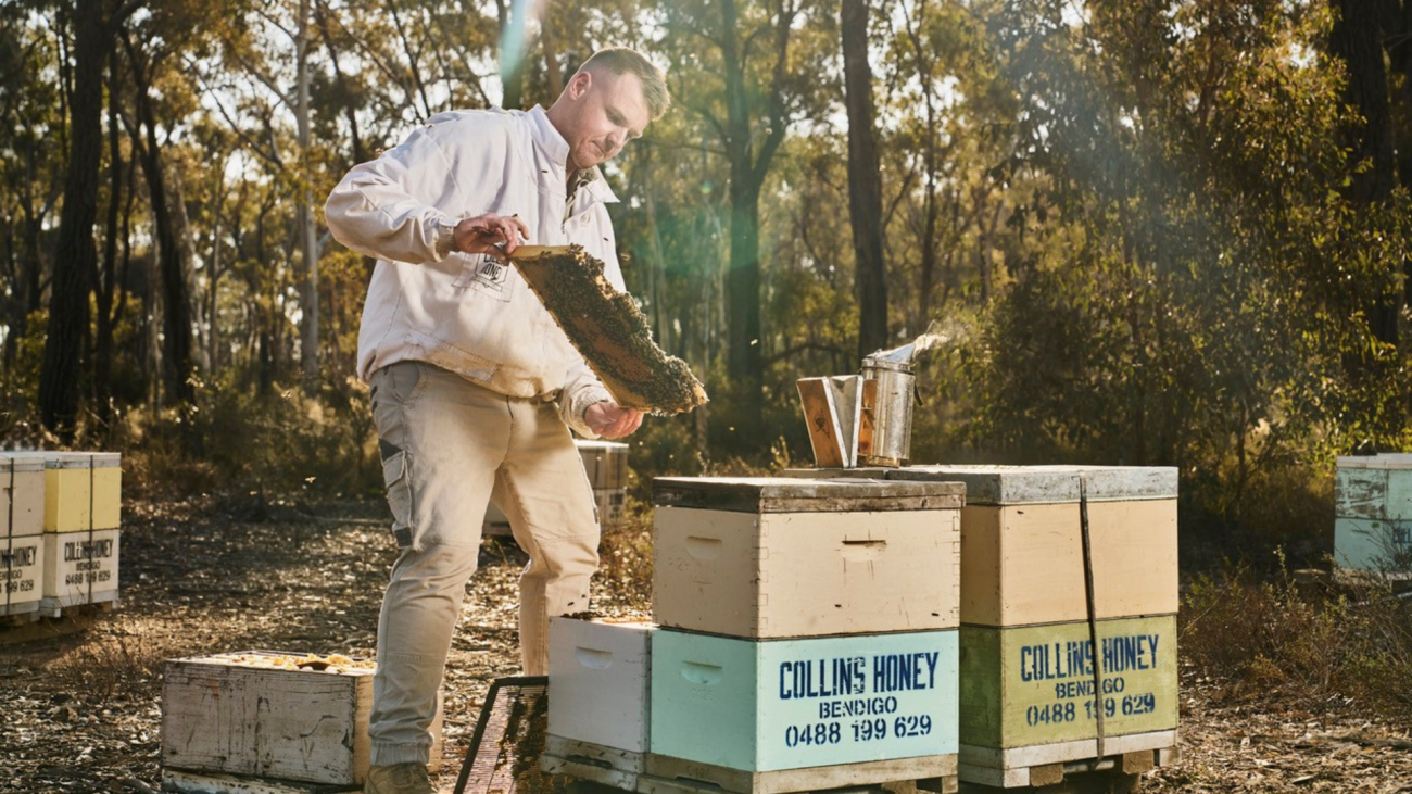 Collins Honey Teaser