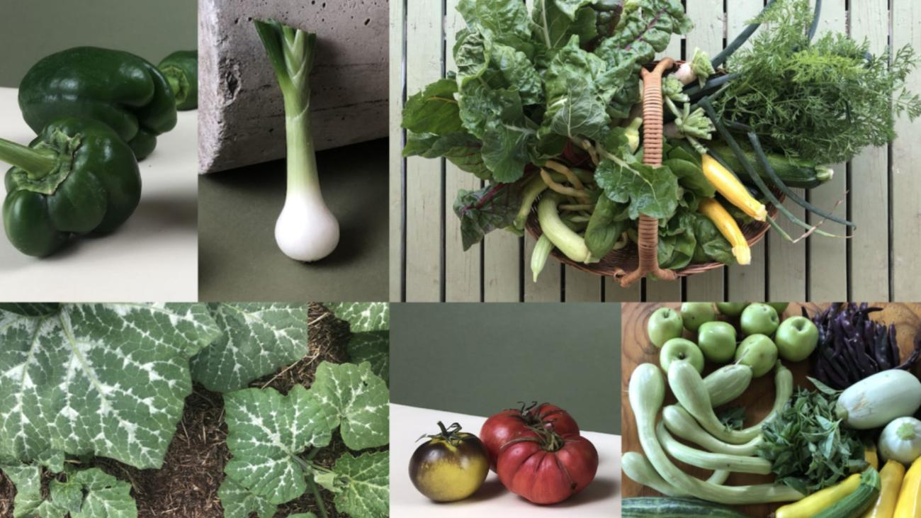 HLC website teaser images