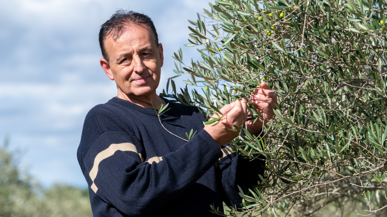 Villa Pileggi teaser