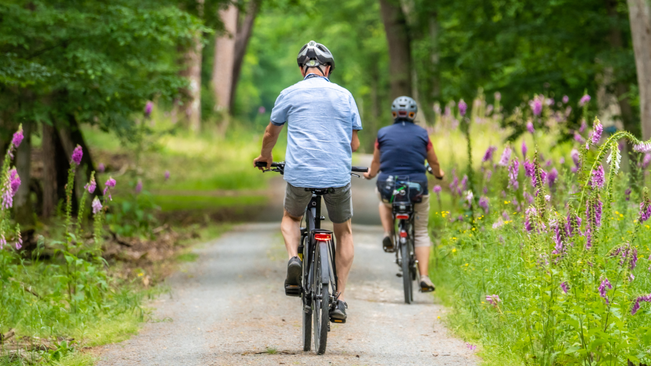 Mount Alexander Active Travel Case Study teaser