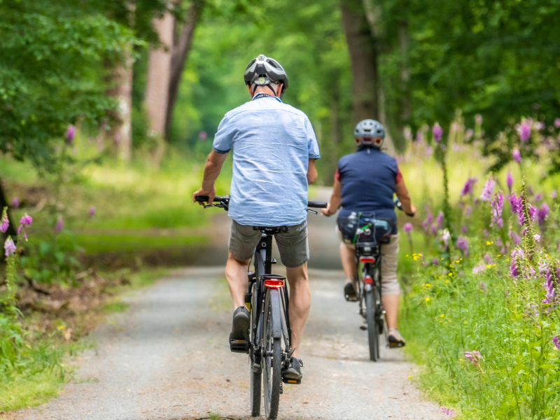 Mount Alex Active Travel